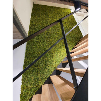 Siepe artificiale Nordic Moss 50x50 cm UV