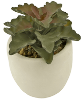 Succulenta artificiale da 15 cm