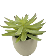 Succulenta artificiale da 18 cm