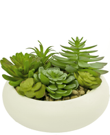 Succulente artificiali da giardino 14 cm in vaso ornamentale