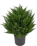 Tuja artificiale Deluxe UV 40 cm