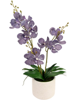 L'Ascocenda artificiale viola da 50 cm ha due steli di fiori di orchidea viola maculati con foglie verdi in un vaso bianco, su uno sfondo bianco semplice.