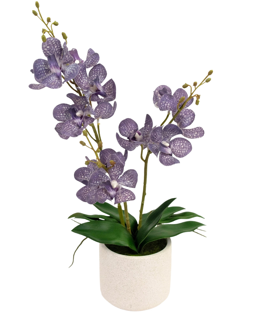 L'Ascocenda artificiale viola da 50 cm ha due steli di fiori di orchidea viola maculati con foglie verdi in un vaso bianco, su uno sfondo bianco semplice.