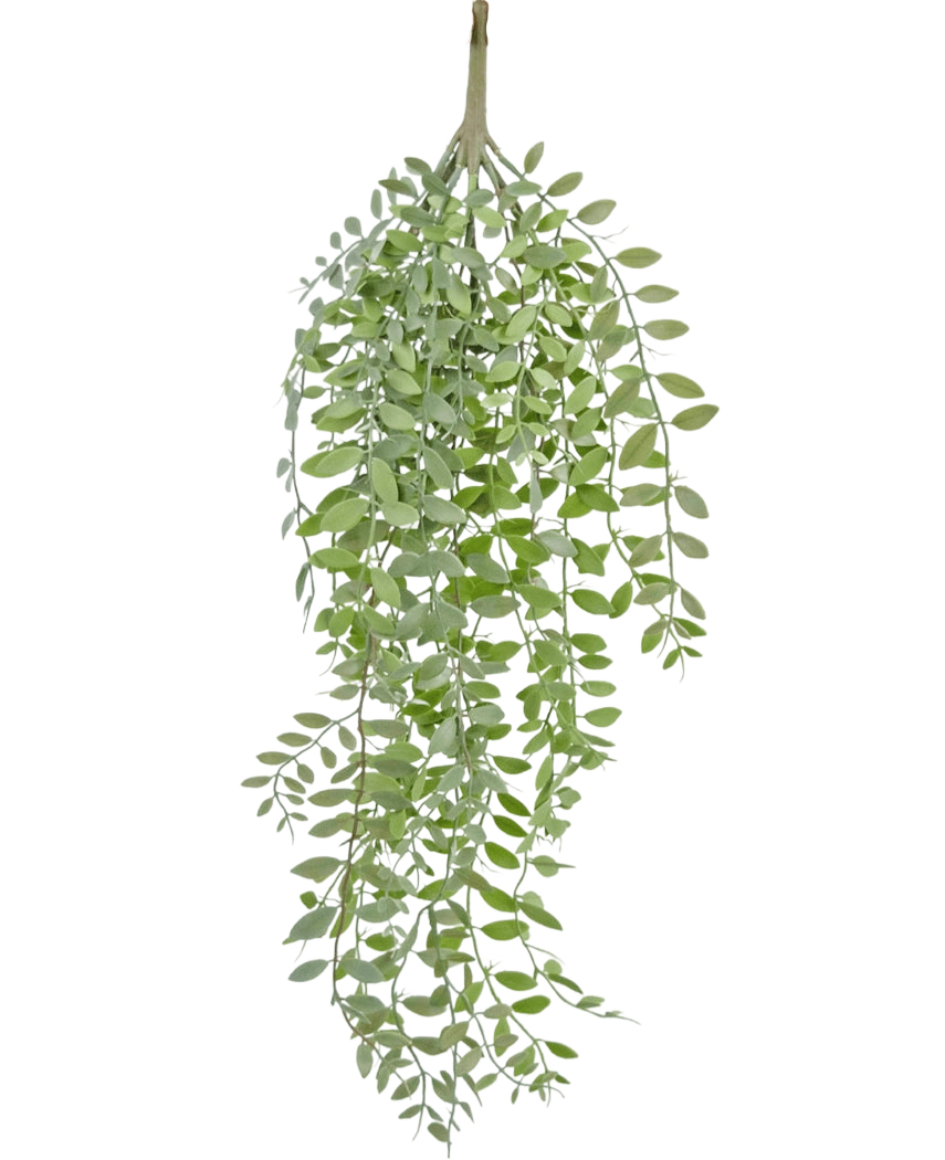 La pianta pensile artificiale Pumila/Eucalyptus 76 cm ha foglie verdi, strette e steli sottili che cadono su uno sfondo bianco semplice.