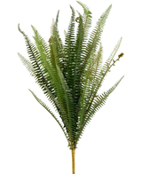 La felce punto artificiale da 64 cm è una felce artificiale verde eretta con foglie lunghe, strette e piumate e uno stelo marrone, su uno sfondo bianco semplice.