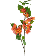 Il ramo artificiale Bougainvillea pesca 81 cm ha un unico stelo con mazzi di fiori color pesca-arancio e giallo, integrati con foglie verdi, su uno sfondo bianco.