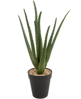 La pianta artificiale Aloe Vera da 33 cm ha foglie verdi lunghe e sottili che crescono verso l'alto, in piccole pietre in un elegante vaso nero, su uno sfondo bianco.