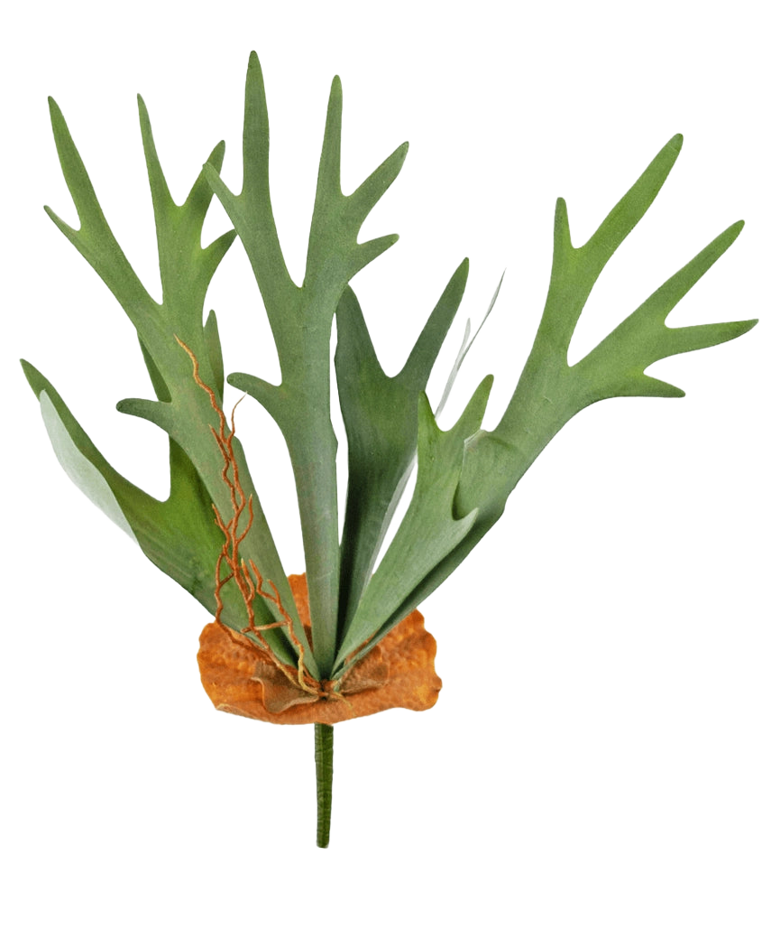 La pianta artificiale Staghorn 53 cm ha foglie verdi a forma di corno e una base marrone a forma di scudo, su uno sfondo bianco semplice.