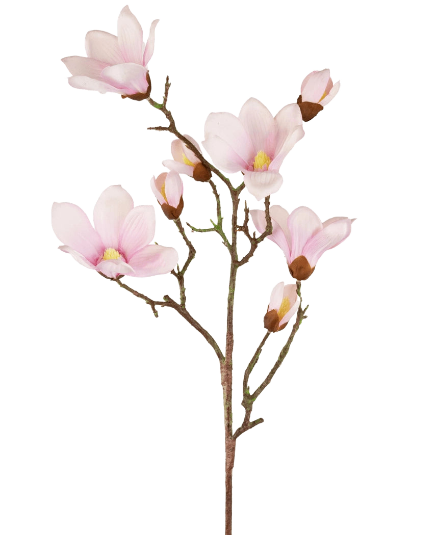 Il ramo di magnolia artificiale Real Touch Pink da 98 cm ha diversi fiori e boccioli di magnolia rosa chiaro con petali morbidi, un cuore giallo e steli marroni, il tutto su uno sfondo bianco.