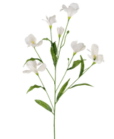 Il rododendro artificiale Azalea Real Touch White da 80 cm ha un unico stelo verde con rami multipli, ciascuno con delicati fiori bianchi e lunghe foglie verdi, il tutto su un semplice sfondo bianco.