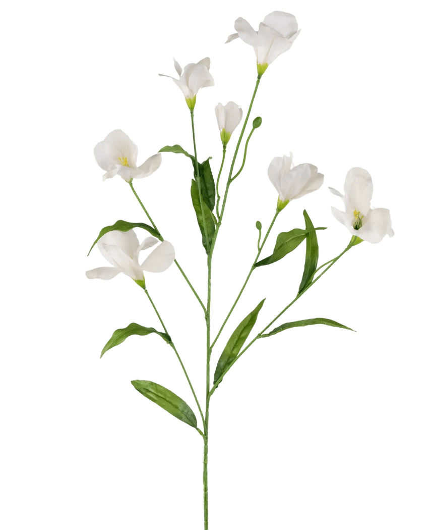 Il rododendro artificiale Azalea Real Touch White da 80 cm ha un unico stelo verde con rami multipli, ciascuno con delicati fiori bianchi e lunghe foglie verdi, il tutto su un semplice sfondo bianco.