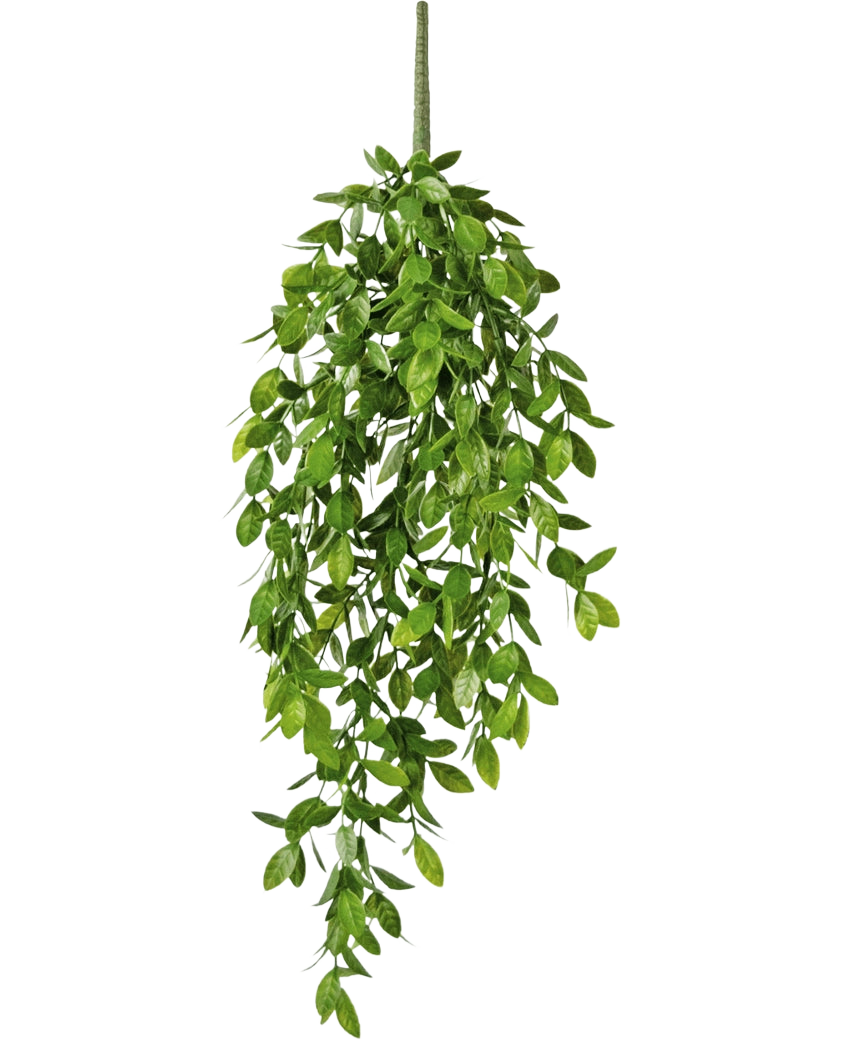 La pianta pensile artificiale Gardenia 61 cm è una pianta pensile artificiale con foglie verdi rigogliose e un unico stelo visibile, su uno sfondo bianco a tinta unita.
