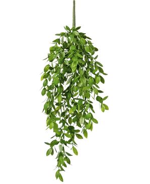 La pianta pensile artificiale Gardenia 61 cm è una pianta pensile artificiale con foglie verdi rigogliose e un unico stelo visibile, su uno sfondo bianco a tinta unita.
