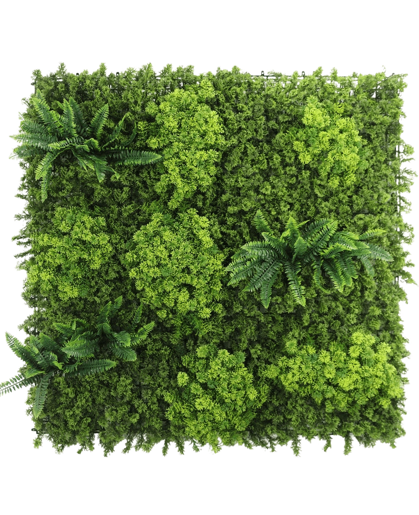 Il pannello UV Siepe Artificiale Muschio 100x100 cm presenta un fogliame verde denso e variegato e diversi grappoli di foglie simili a felci su uno sfondo bianco.