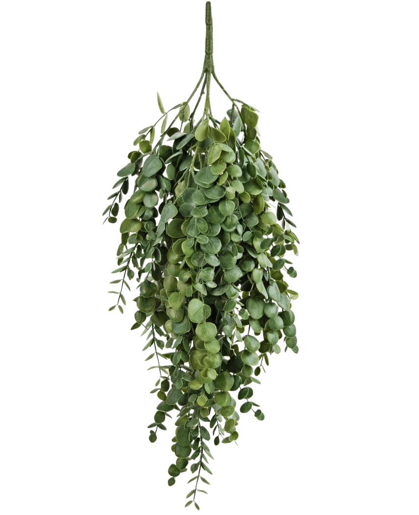 La pianta artificiale di eucalipto pensile da 76 cm ha foglie di eucalipto artificiale fitte e a cascata con forme rotonde e ovali, perfette per aggiungere verde a qualsiasi spazio.