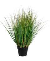 Il bonsai di erba artificiale cipolla con vaso è una pianta di erba artificiale ignifuga alta 70 cm con lunghi fili verdi in un vaso nero, su uno sfondo bianco semplice.