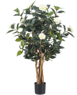 La pianta artificiale Camellia japonica 100 cm ha diversi steli marroni alti, foglie verde scuro e fiori artificiali bianchi su uno sfondo bianco.