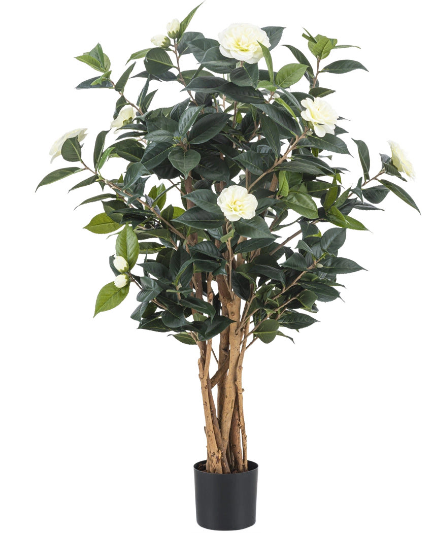La pianta artificiale Camellia japonica 100 cm ha diversi steli marroni alti, foglie verde scuro e fiori artificiali bianchi su uno sfondo bianco.