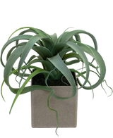 La pianta grassa artificiale in vaso da 24 cm ha foglie verdi, arricciate, nastriformi che emergono da un vaso quadrato di colore grigio chiaro, su sfondo bianco.