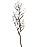 Il ramo decorativo artistico da 118 cm è un ramo decorativo alto e senza foglie con molti steli sottili e contorti che si innalzano verso l'alto, visualizzati su un semplice sfondo bianco.