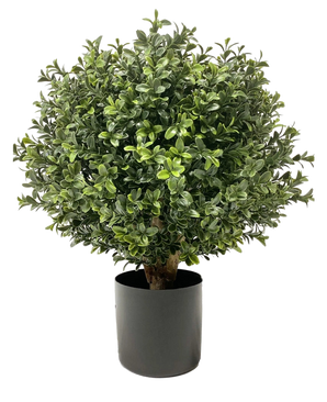 Il Buxus artificiale su stelo UV d30 cm è una pianta rotonda, verde cespugliosa, con foglie dense e lucide, in un vaso cilindrico nero a tinta unita, raffigurato su sfondo bianco.
