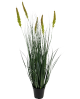 Il vaso per erba artificiale tifa cipolla da 90 cm ignifugo è una pianta in erba artificiale in vaso con foglie verdi lunghe e sottili e molteplici teste di semi alte, giallo-verdi su un semplice sfondo bianco.