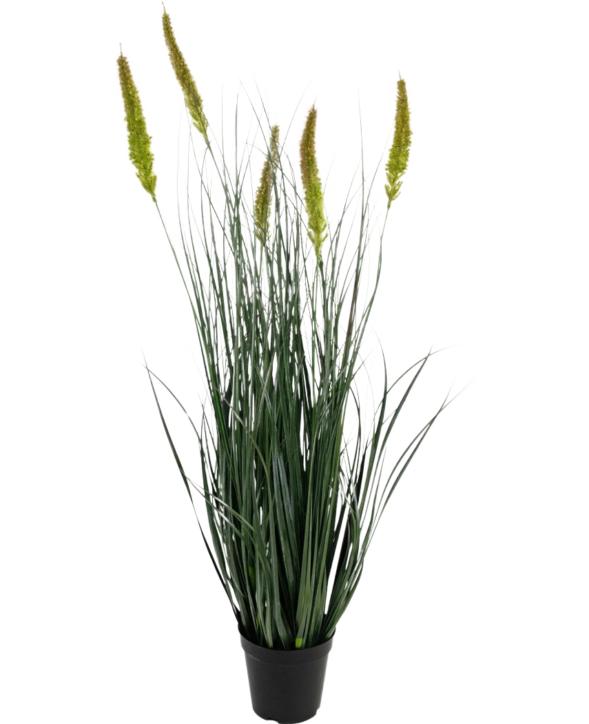 Il vaso per erba artificiale tifa cipolla da 90 cm ignifugo è una pianta in erba artificiale in vaso con foglie verdi lunghe e sottili e molteplici teste di semi alte, giallo-verdi su un semplice sfondo bianco.
