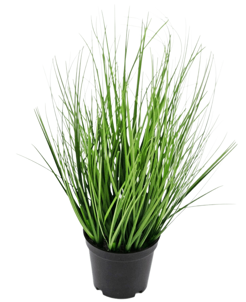 La pianta erba artificiale cipolla 33 cm (ignifuga) ha foglie lunghe, sottili, verdi simili a erba in un piccolo vaso nero, su uno sfondo bianco semplice.