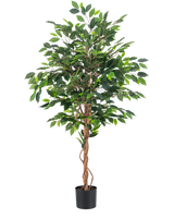 La pianta artificiale Ficus Green da 150 cm ha diverse foglie verdi e steli marroni intrecciati in un semplice vaso nero, su uno sfondo bianco a tinta unita.