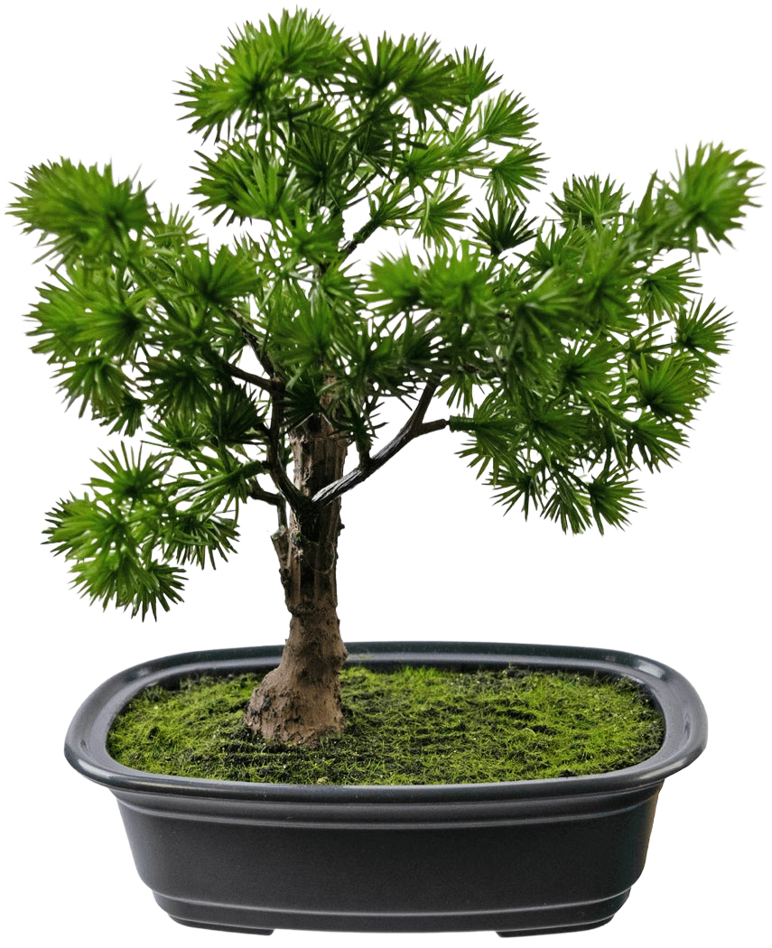 La pianta artificiale bonsai ginepro da 20 cm ha foglie verdi dense e appuntite in un vaso rettangolare nero con muschio, su uno sfondo bianco a tinta unita.