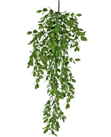 La pianta artificiale pensile Jasmin 70 cm ha densi grappoli di piccole foglie verdi che cadono naturalmente e creano un rigoglioso effetto drappeggiato su uno sfondo bianco.
