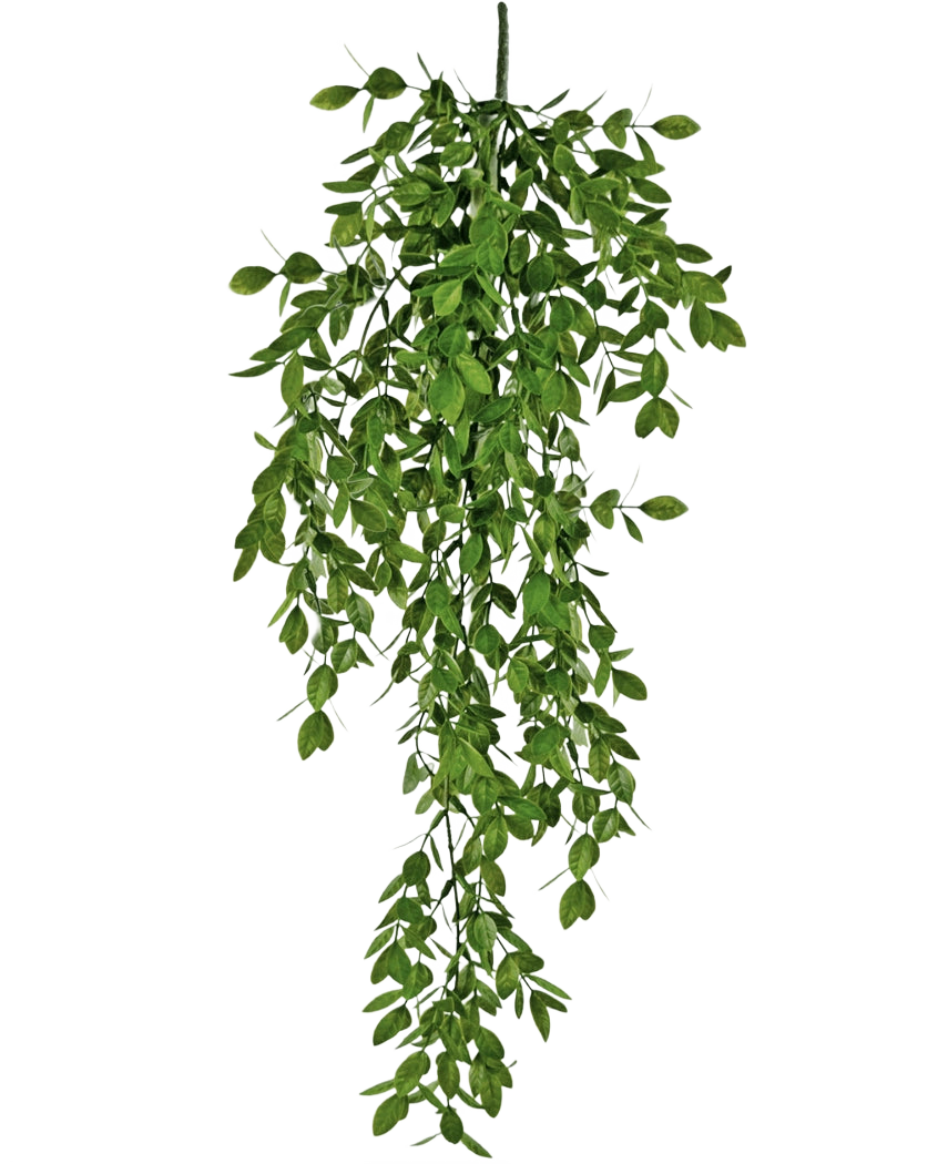 La pianta artificiale pensile Jasmin 70 cm ha densi grappoli di piccole foglie verdi che cadono naturalmente e creano un rigoglioso effetto drappeggiato su uno sfondo bianco.