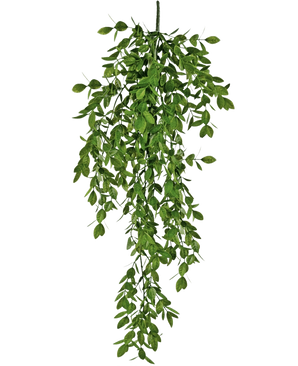 La pianta artificiale pensile Jasmin 70 cm ha densi grappoli di piccole foglie verdi che cadono naturalmente e creano un rigoglioso effetto drappeggiato su uno sfondo bianco.
