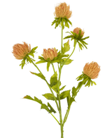 Un singolo fiore di cardo artificiale con stelo di pesca da 66 cm con cinque fiori rotondi a forma di cardo marrone chiaro e foglie verdi, raffigurati su un semplice sfondo bianco.