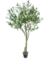 L'Ulivo Artificiale 200 cm ha un tronco sottile di colore marrone chiaro, numerose foglie verdi e piccole olive scure sui rami. Questo olivo artificiale sembra realistico su uno sfondo bianco.