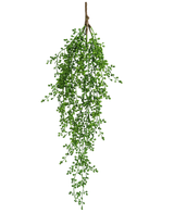 La pianta artificiale pensile Senecio 76 cm ha un unico ramo di verde artificiale con piccole foglie verdi a forma di grappolo che pendono elegantemente verso il basso su uno sfondo bianco a tinta unita.