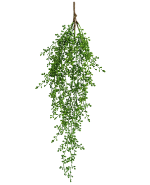 La pianta artificiale pensile Senecio 76 cm ha un unico ramo di verde artificiale con piccole foglie verdi a forma di grappolo che pendono elegantemente verso il basso su uno sfondo bianco a tinta unita.