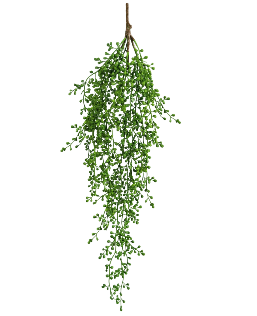 La pianta artificiale pensile Senecio 76 cm ha un unico ramo di verde artificiale con piccole foglie verdi a forma di grappolo che pendono elegantemente verso il basso su uno sfondo bianco a tinta unita.