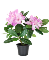 La pianta artificiale rododendro da 34 cm ha foglie verdi vivaci e mazzi di fiori rosa chiaro in un piccolo vaso nero, su uno sfondo bianco a tinta unita.