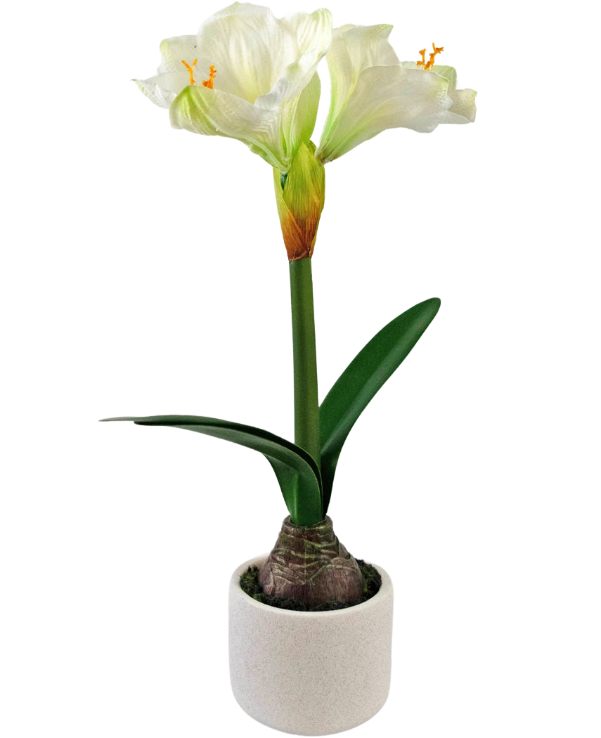 Il fiore artificiale Amaryllis Real Touch bianco 48 cm ha un realistico fiore di amaryllis bianco con foglie verdi e bulbo visibile in un piccolo vaso bianco, perfetto per aggiungere eleganza a qualsiasi stanza.