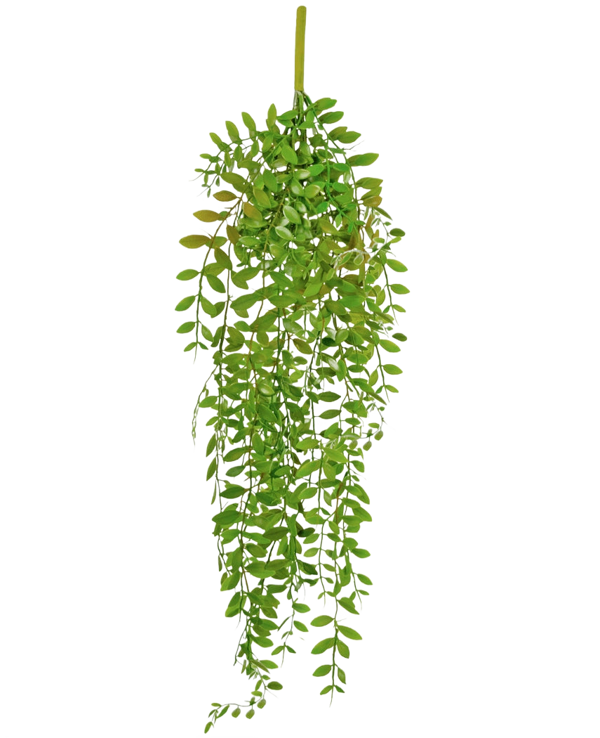 La pianta pensile artificiale Pumila 89 cm ha piccole foglie verdi ovali su diversi steli pendenti, su uno sfondo bianco a tinta unita.