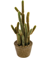 Il cactus artificiale Cereus da 35 cm ha diversi steli lunghi e soffici verdi e marroni che crescono verso l'alto in diverse direzioni, in un vaso rotondo con texture e pietre decorative.