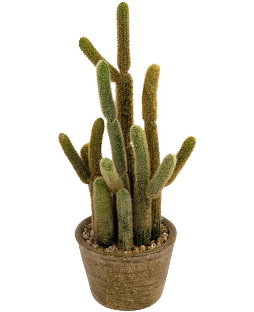 Il cactus artificiale Cereus da 35 cm ha diversi steli lunghi e soffici verdi e marroni che crescono verso l'alto in diverse direzioni, in un vaso rotondo con texture e pietre decorative.