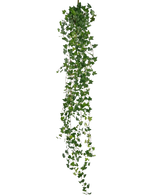 La pianta pensile artificiale Ivy deluxe 180 cm verde è una lunga edera artificiale con tante piccole foglie verdi, pendenti verticalmente su uno sfondo bianco a tinta unita.