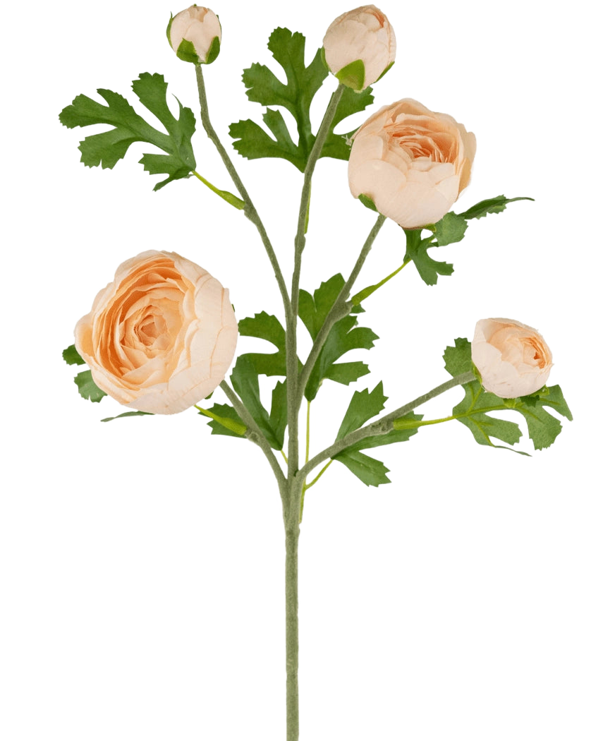 Il ramo di ranuncolo artificiale x5 Real Touch rosa da 62 cm ha uno stelo con tre ranuncoli color pesca completamente sbocciati e due boccioli, accentuati da foglie verdi profondamente lobate, il tutto su uno sfondo bianco.