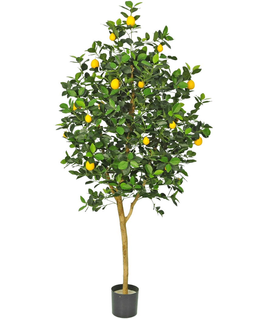 L'albero di limone artificiale da 150 cm ha un tronco marrone, foglie verdi e diversi limoni gialli in un vaso su uno sfondo bianco.