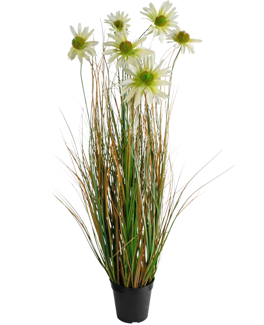 L'erba artificiale crisantemo-cipolla ignifuga da 90 cm è una pianta artificiale in vaso con lunghe foglie verdi e marroni simili a erba, sormontate da fiori di margherita bianca con un cuore giallo.