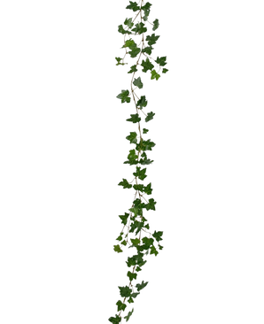 La pianta artificiale pensile Ghirlanda di edera deluxe 180 cm verde è una lunga ghirlanda di edera verde con foglie appuntite che pende verticalmente su uno sfondo bianco semplice.