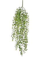 La mini edera artificiale pensile da 91 cm ha foglie verdi su steli sottili su uno sfondo bianco semplice.