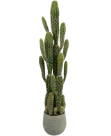 Il cactus artificiale da 100 cm ha bracci alti, verdi, eretti con creste, in un vaso rotondo grigio su uno sfondo bianco semplice.